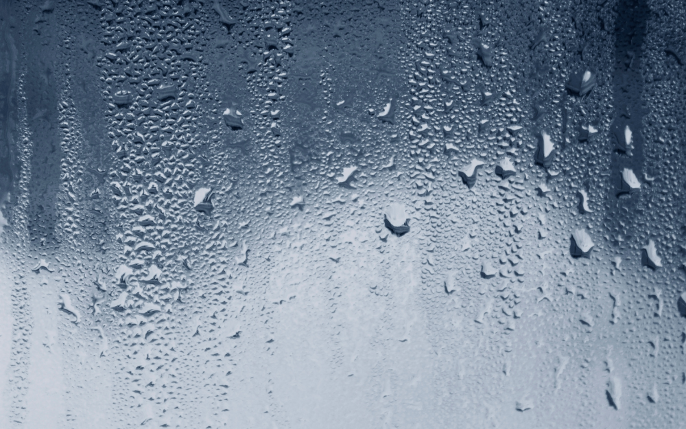 What To Know About Condensation  What To Know About Condensation