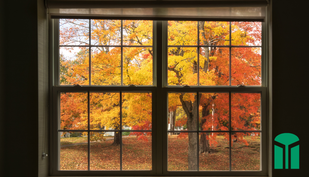 window replacement